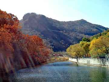 新澳天天开奖资料大全旅游团，青梅竹马的小说